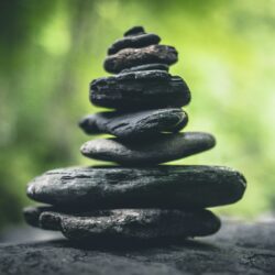 MANAGEMENT MINDFULNESS