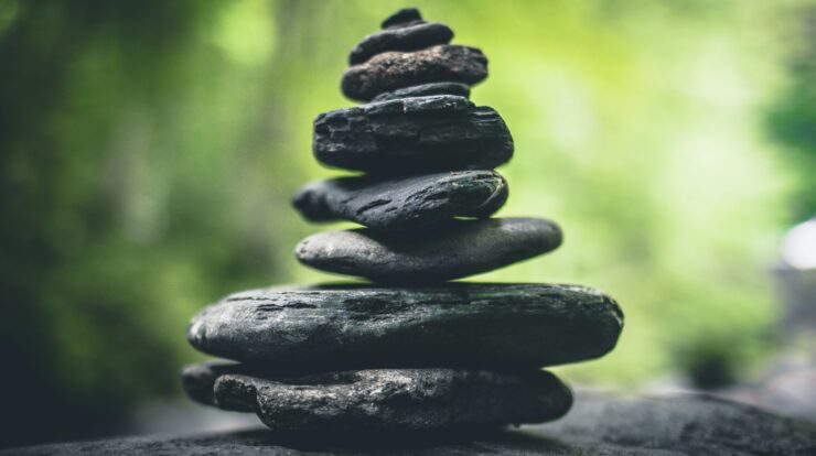 MANAGEMENT MINDFULNESS
