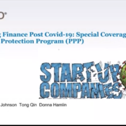 PPP for startups
