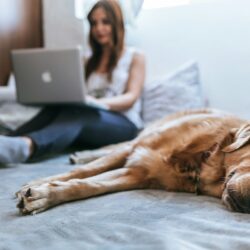 Work from home