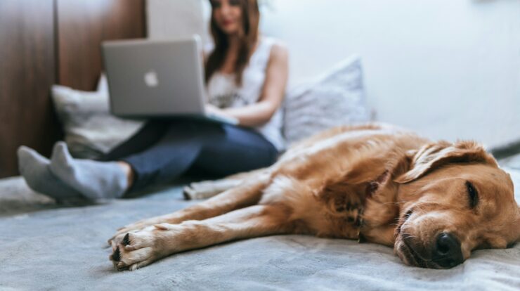 Work from home