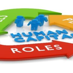 Human Capital Mgmt