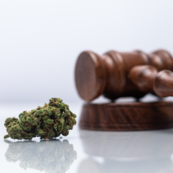 Impact of legal cannabis