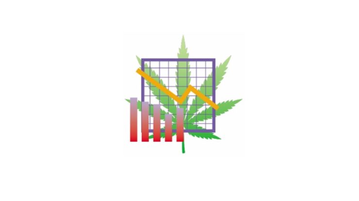 cannabis business consulting