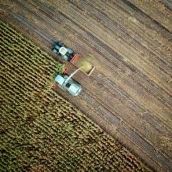 Agriculture field