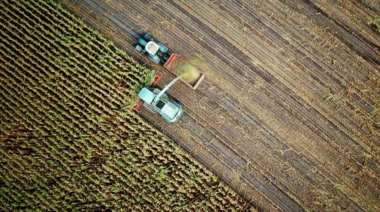 Agriculture field