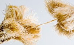 When growth outruns your systems