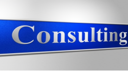 Consultants