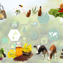 Agriculture business