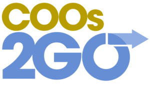 COOs2Go Fractional COO professional service