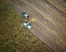 Agriculture field