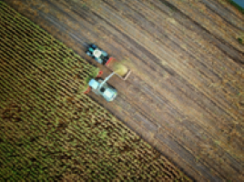 Agriculture field