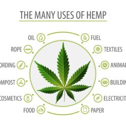 Growth Opportunity CBD