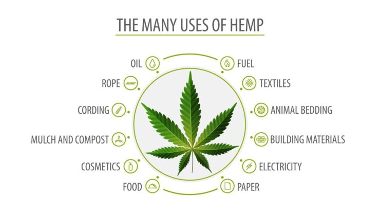 Growth Opportunity CBD