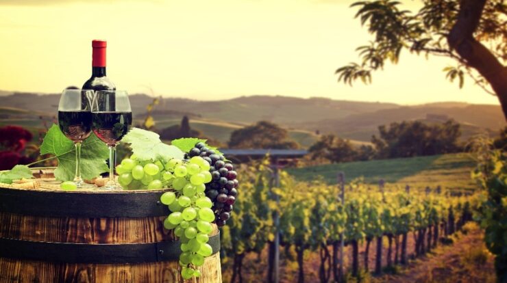 Wine Industry