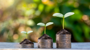 Nonprofit Funding: Finding the Money: What Nonprofits Need to Know About Funding That Actually Works  